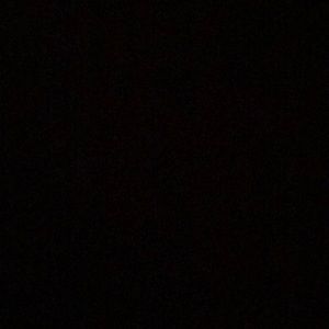 Meet your Posher, Cheyenne